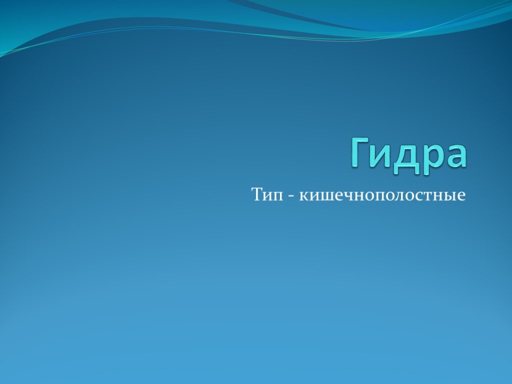 Kraken магазин интернет