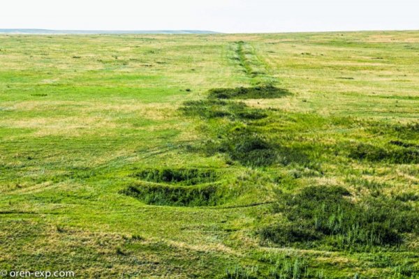 Кракен найдется все
