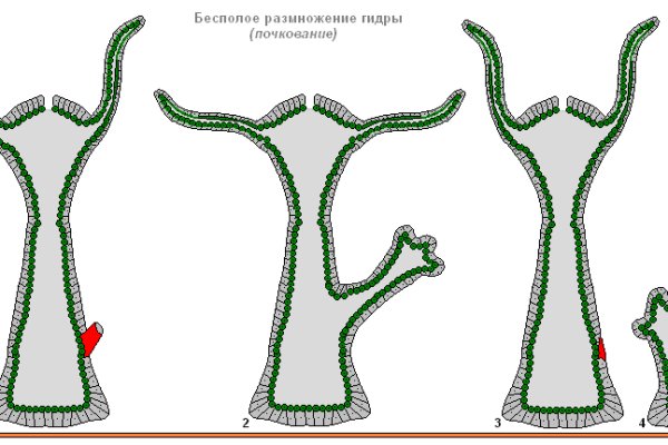Кракен маркетплейс kr2connect co
