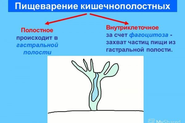 Кракен маркетплейс почему не закроют