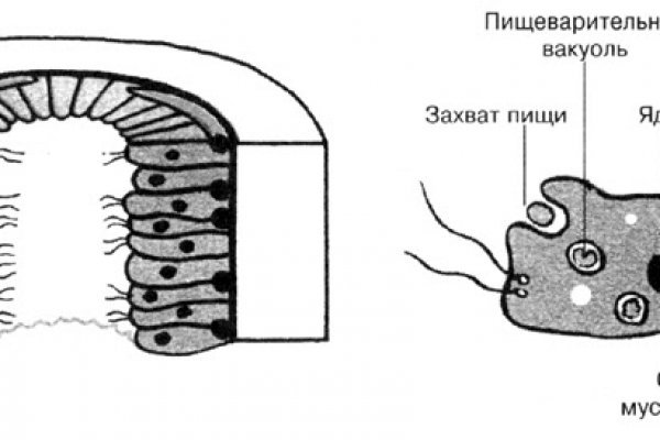 Забыл пароль кракен