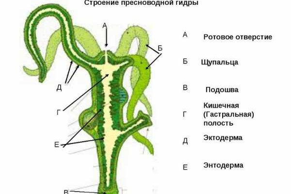 Кракен маркетплейс актуальные ссылки