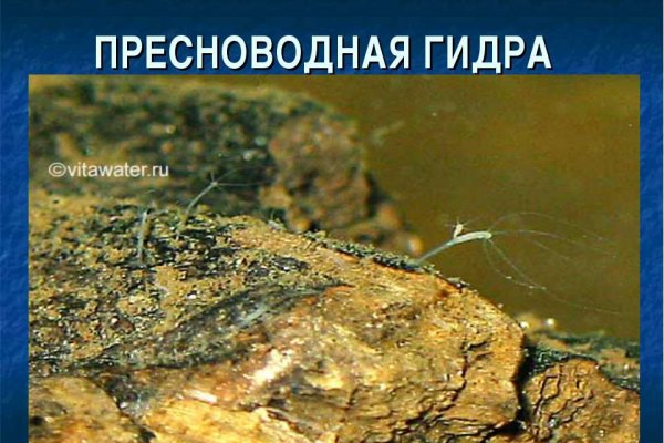 Кракен купить гашиш